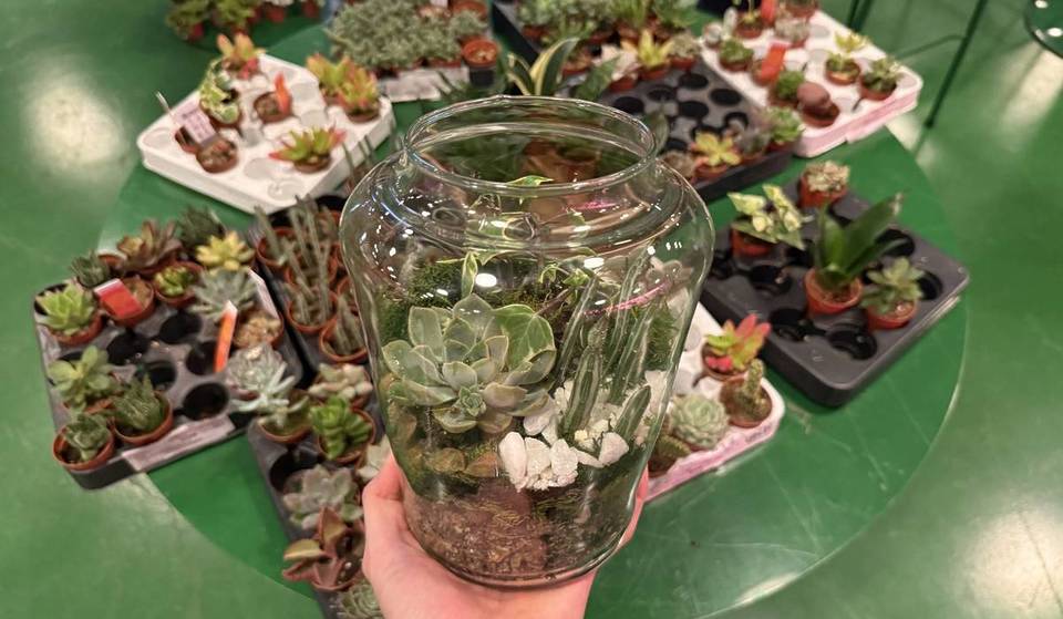 Cet atelier de terrarium à 35 £ est « l&rsquo;une des activités les plus abordables » de Londres — et l&rsquo;activité printanière parfaite pour se recentrer
