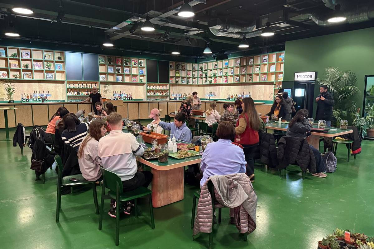 A full workshop full of people sit at tables in a green room with plants on the tables