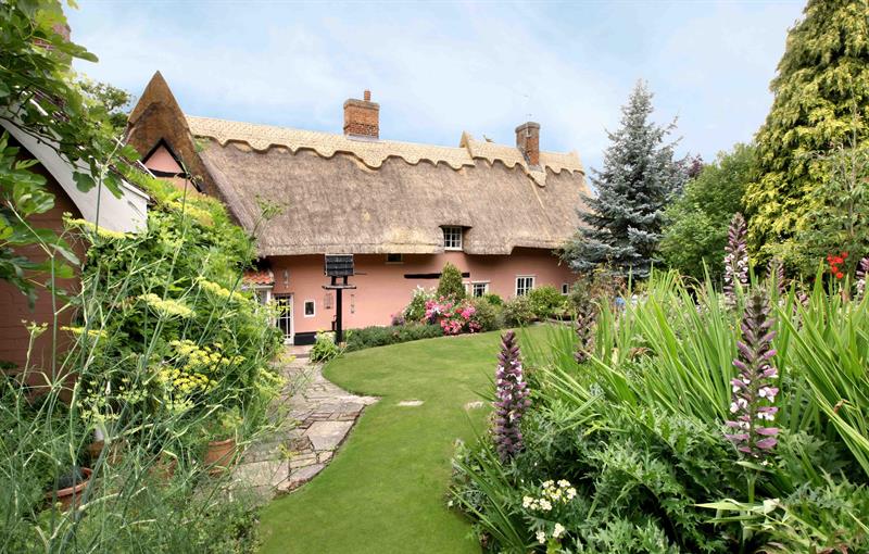 Old Drift House garden