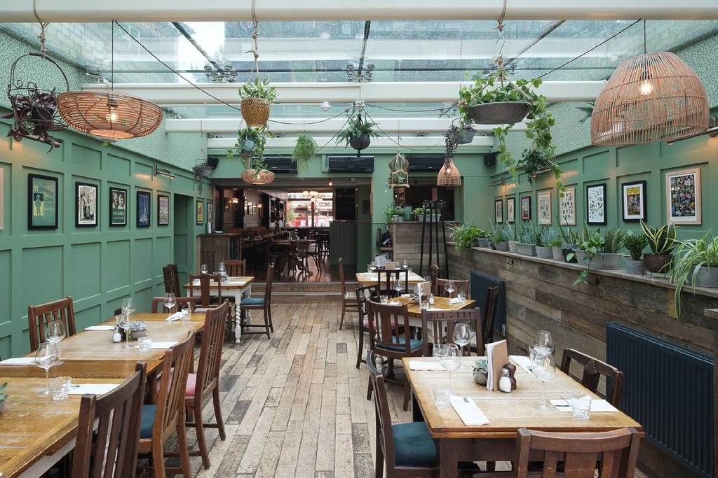 La sala da pranzo di un pub con tante piante che pendono dal soffitto
