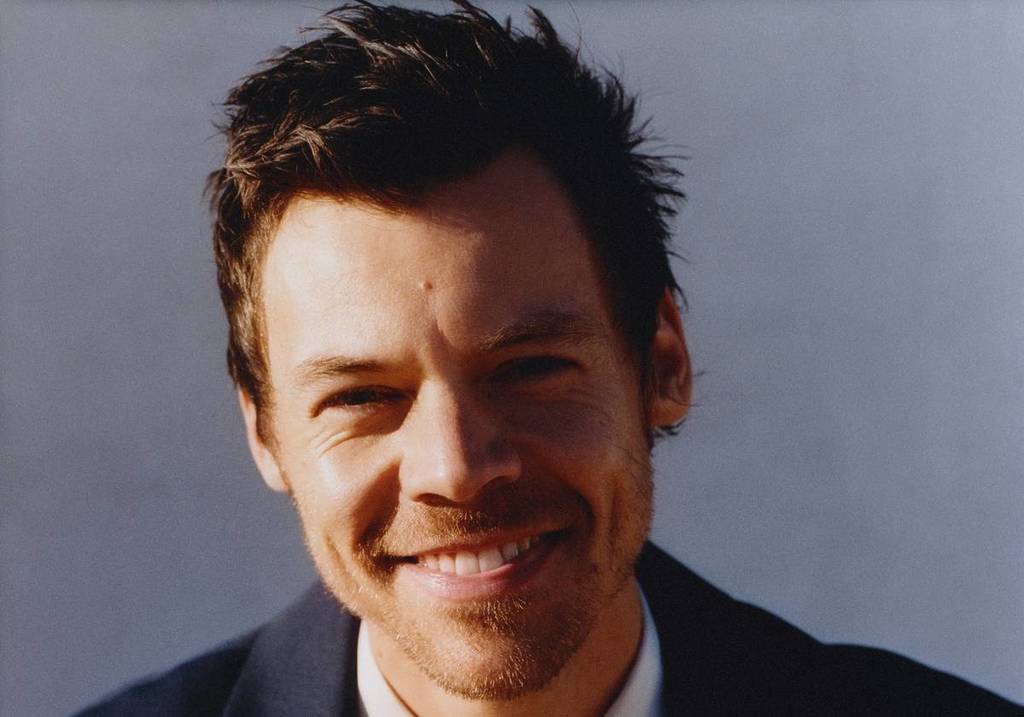 Pressefoto von Harry Styles vor dem Meltdown-Festival