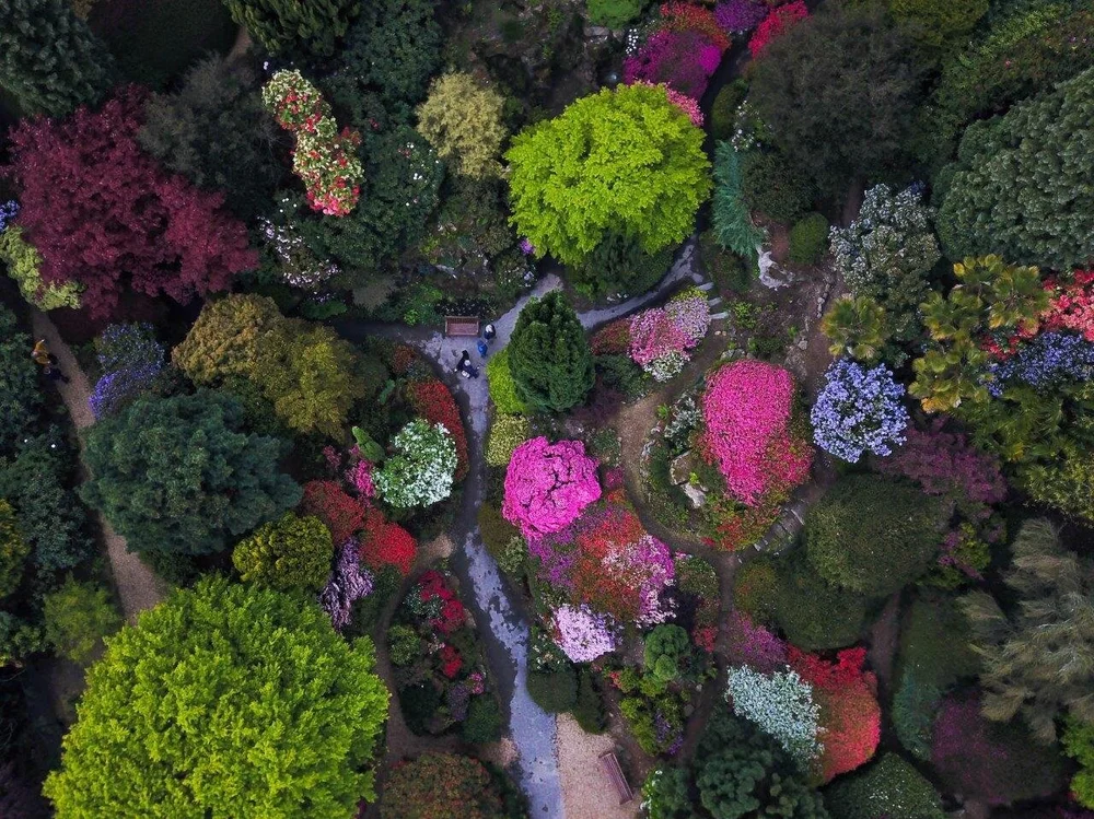 una vista dall'alto del giardino roccioso di Leonardslee Gardens