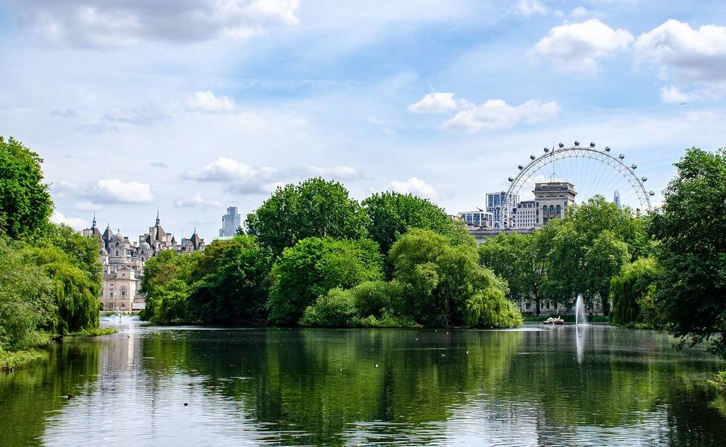 Ein Blick auf das London Eye, das über einige Bäume im St. James's Park hinausschaut