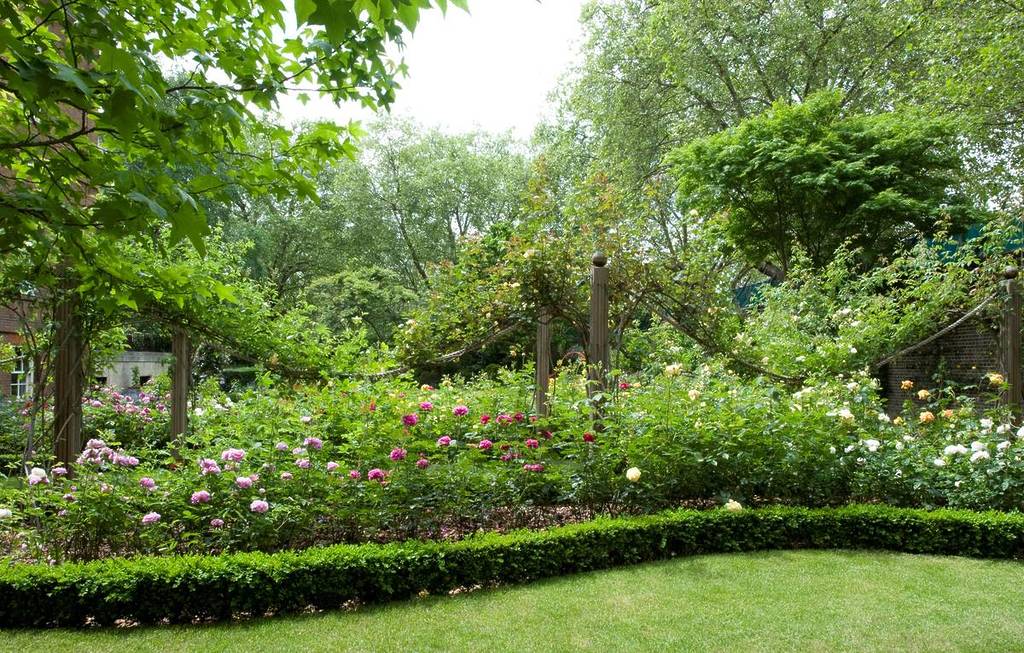 Un parterre de rosas de colores en un jardín verde
