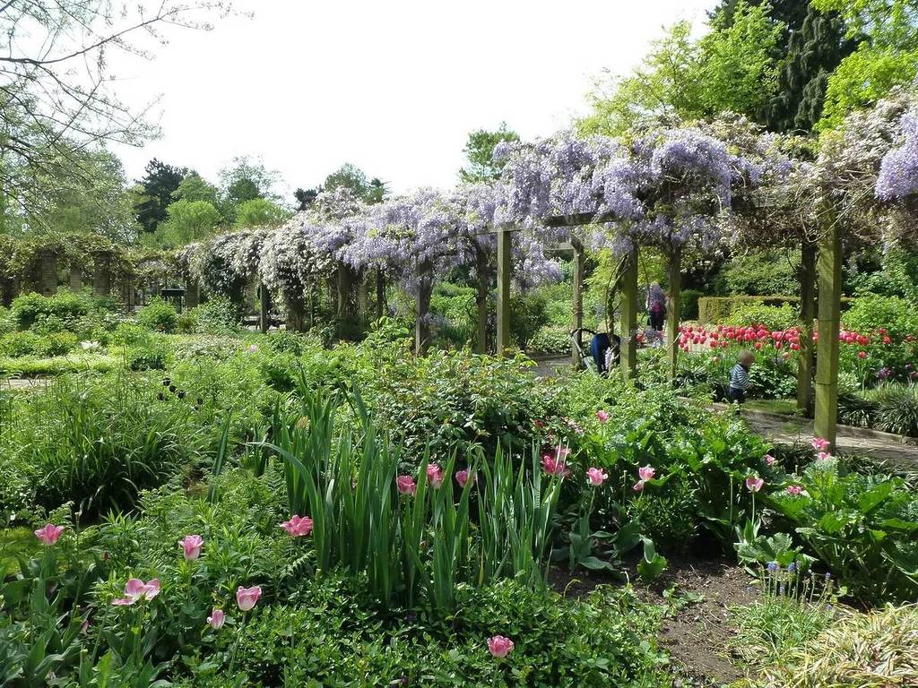 les jardins de Sexby à Peckham Rye Park, où toutes sortes de fleurs déploient leurs couleurs, et une pergola recouverte de glycines au milieu