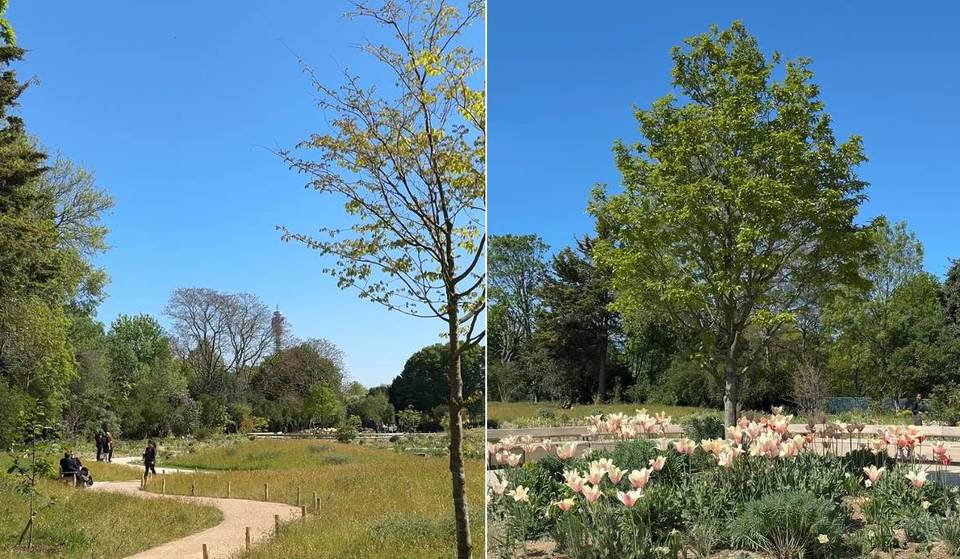 Un magnifique jardin commémorant la vie de la reine Élisabeth II a ouvert ses portes dans l&rsquo;un des parcs les plus emblématiques de Londres. Il met en vedette ses fleurs préférées et offre une plate-forme d&rsquo;observation panoramique