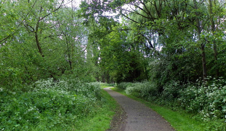 Un nouveau « corridor naturel » de 22 km va transformer l&rsquo;est de Londres – et il traversera certains des quartiers les plus dépourvus de nature de la capitale