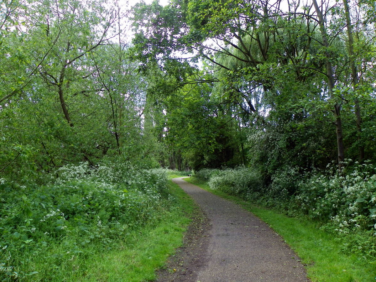 Ein neuer 14 Meilen langer „Naturkorridor“ soll den Osten Londons verändern