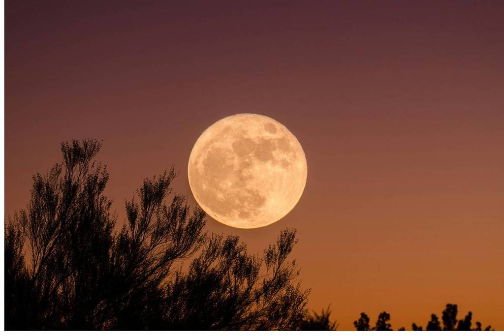 Ein Vollmond an einem rosa/orangefarbenen Himmel, im Vordergrund sind einige dunkle Äste zu sehen.