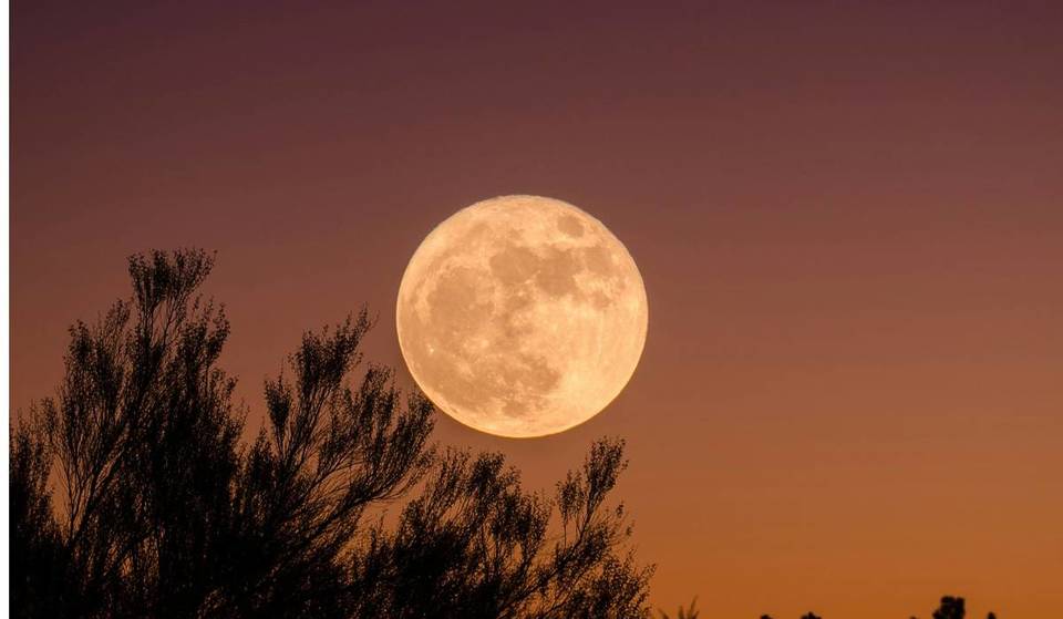 Une « microlune » devrait atteindre son apogée au-dessus du Royaume-Uni ce vendredi soir — voici l&rsquo;heure exacte pour observer la Lune des Fleurs