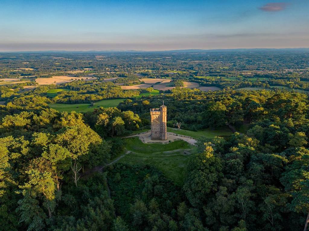 Ein gotischer Turm auf einem Hügel, umgeben von Wald und Grün