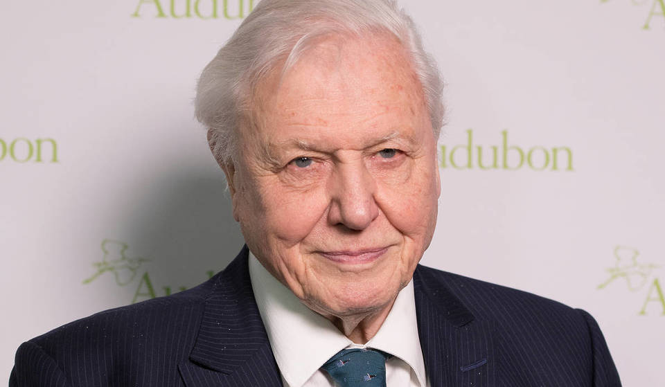Sir David Attenborough wird heute 100 – hier sind ein paar von David empfohlene Möglichkeiten, seinen Geburtstag in London zu feiern