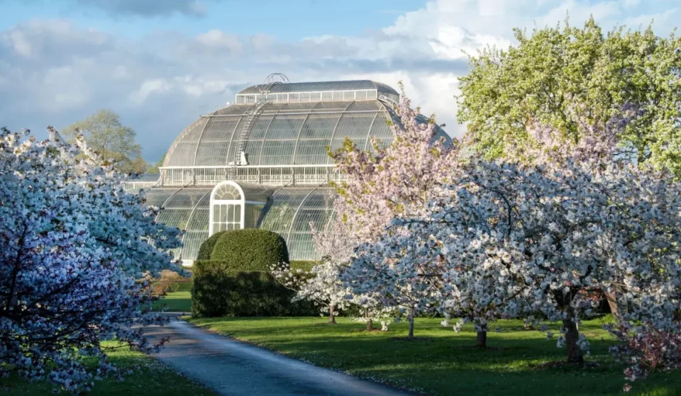 The best family-friendly peony gardens near London are only in bloom for a few weeks – and it’s a perfect May half-term day trip