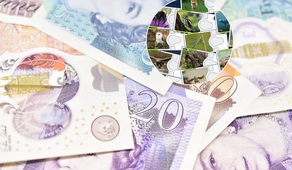 The Bank of England has issued a shortlist of 18 native animals that could feature on new British banknotes – and you can have your say