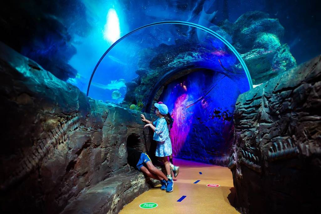Zwei Kinder lehnen sich an die Seite des Unterwassertunnels im SEA LIFE Aquarium London
