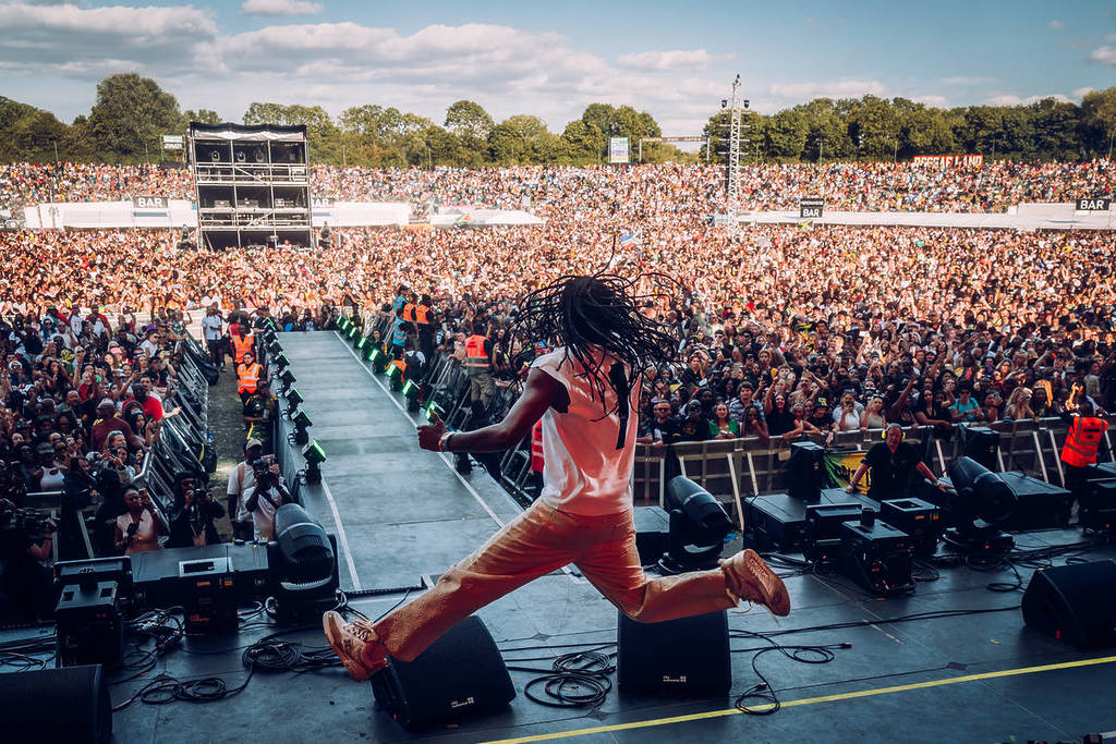 Ein Schnappschuss der Menge beim Reggae Land 2025, aufgenommen von der Bühne hinter einem in die Luft springenden Künstler