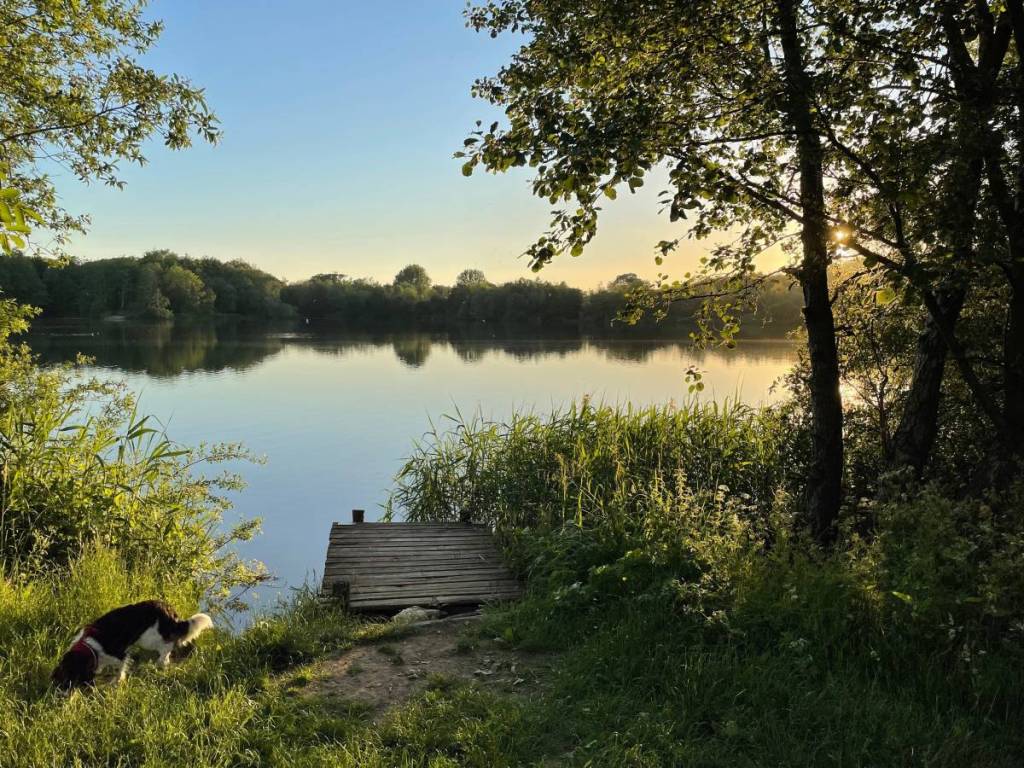 Ein Blick auf den Fluss Medway in Tonbridge in Kent