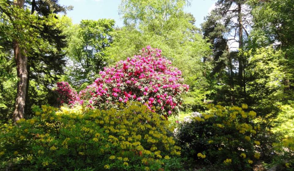 Ce jardin méconnu du sud de Londres abrite une cascade, une végétation époustouflante et un charmant café communautaire : c’est l’un des secrets les mieux gardés de la ville