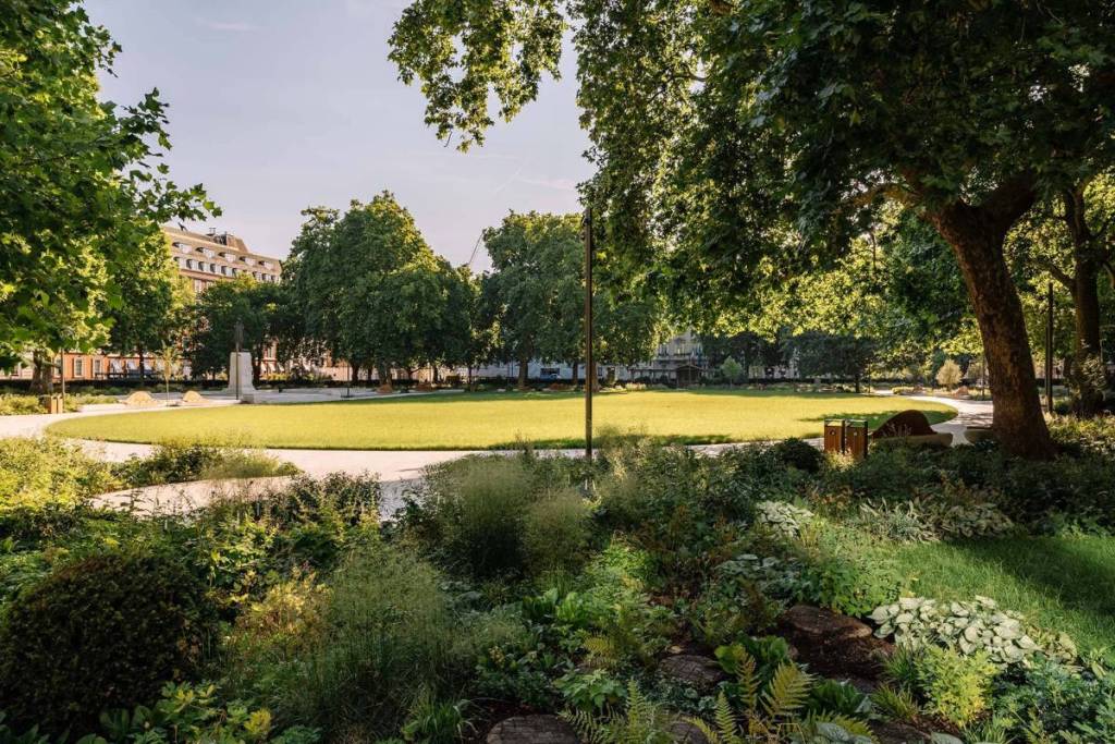 Der regenerierte Gartenplatz – voller Pflanzen und Bäume