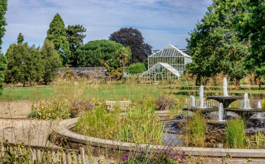 Il giardino botanico di Cambridge
