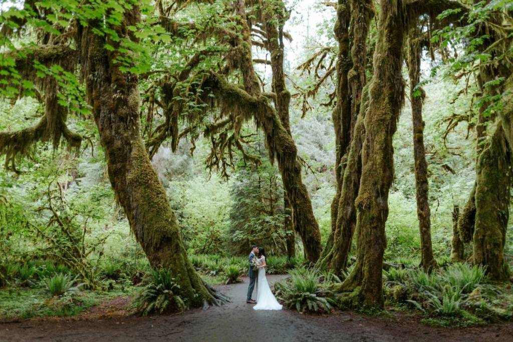 Eine Hochzeit im Wald