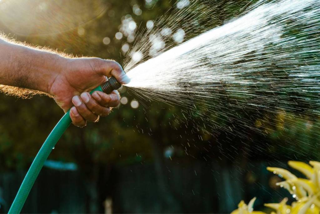 A green hosepipe being held with one hand and water spraying out