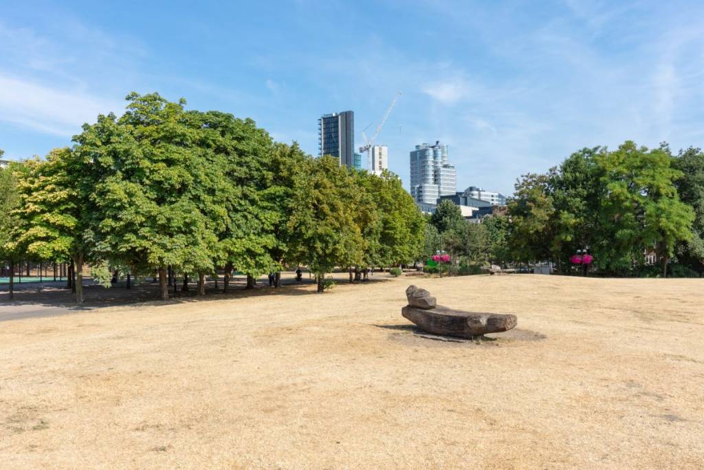A garden in Vauxhall looking very dry and straw-like due to hot temperatures