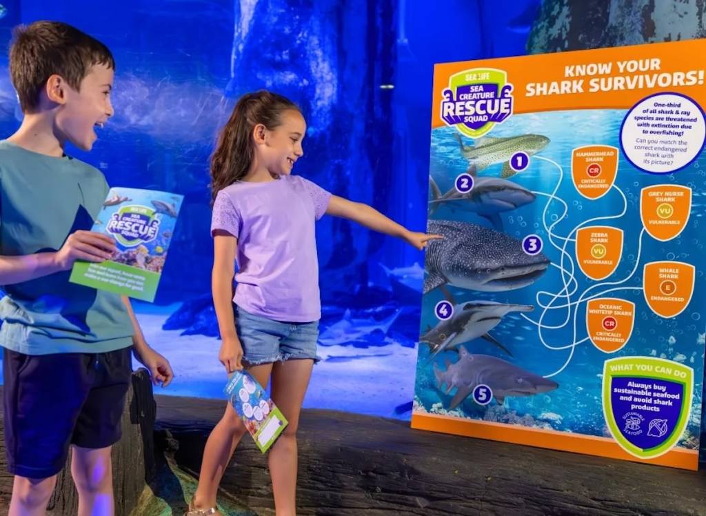 twee kinderen op het ‘Sea Life Rescue Squad’-parcours, wijzend naar een poster met haaien