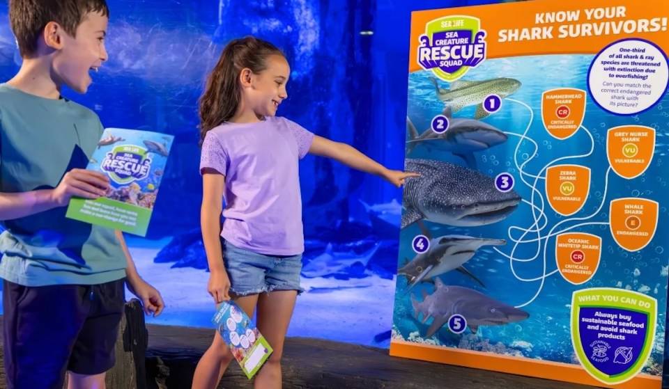 Dieses neue, fesselnde Erlebnis bei SEA LIFE London verwandelt diesen Sommer die ganze Familie in „Meereshelden“