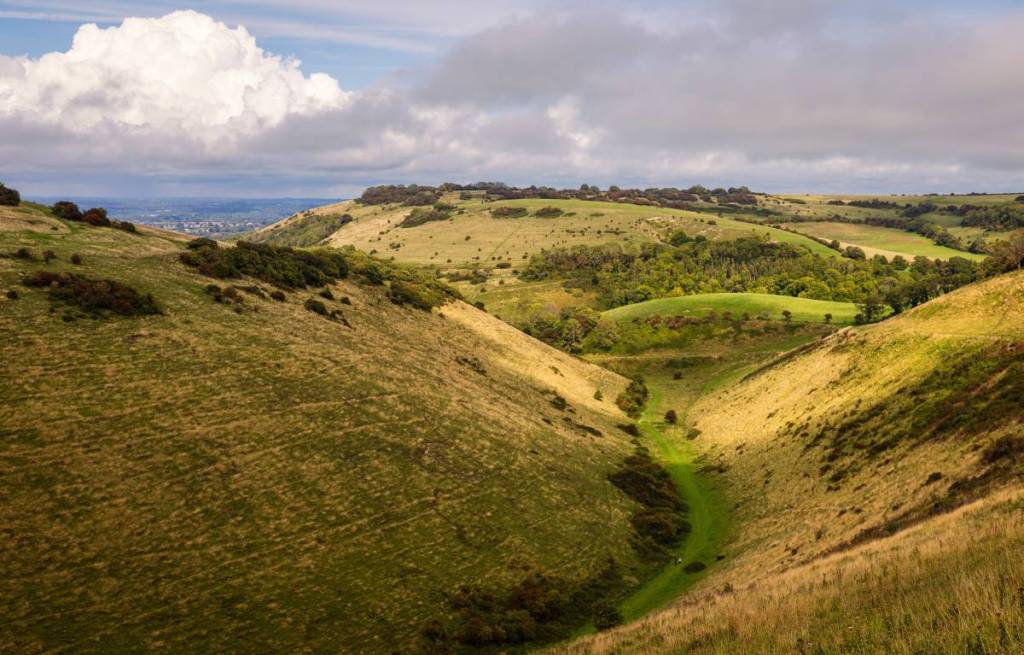 Un fosso ricoperto di erba dai diversi toni di verde e colline in lontananza