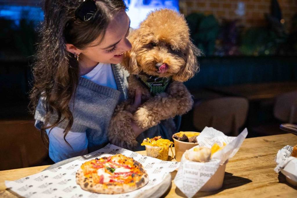 un perro y su dueño mirando los platos aptos para perros que hay sobre la mesa
