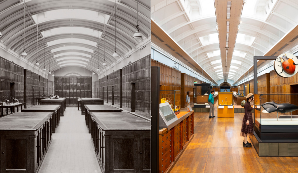 The Natural History Museum has reopened a hidden gallery that’s been sealed off to the public for over 80 years – and visitors can step inside the historic space for free