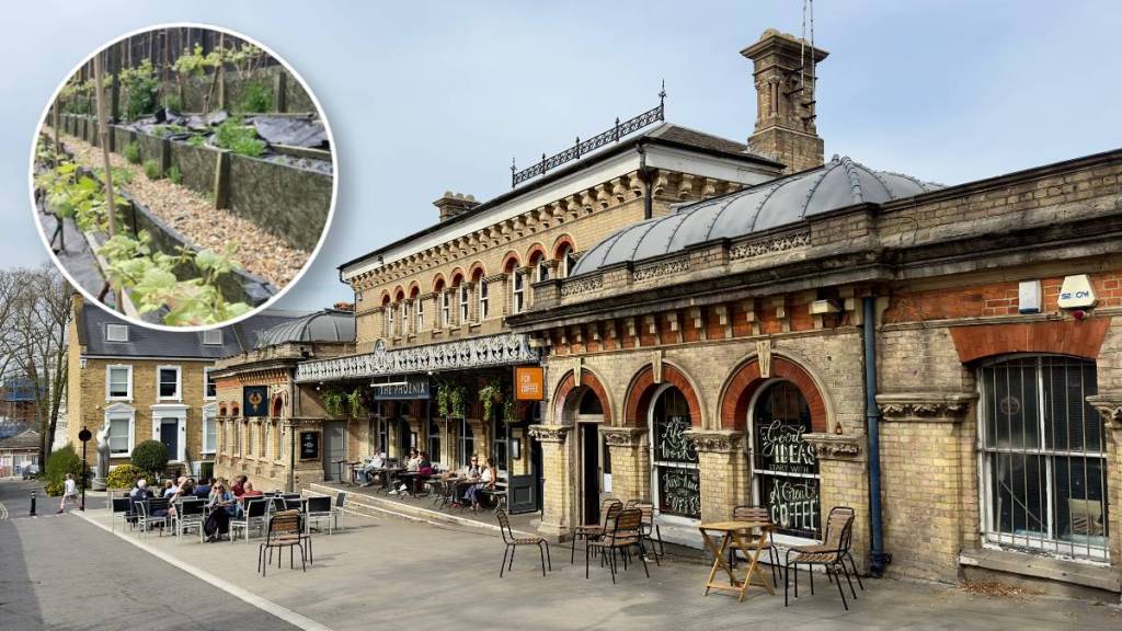 La facciata della stazione di Denmark Hill con una sovrapposizione circolare di alcune viti in crescita