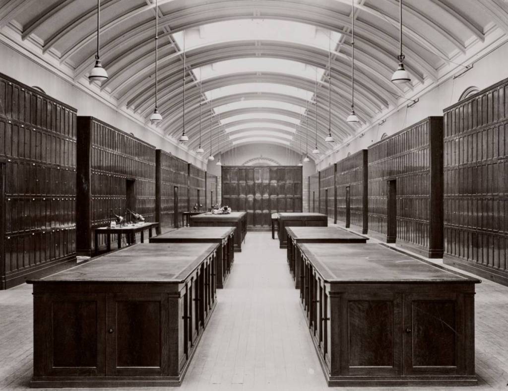 Una foto en blanco y negro del herbario del Museo de Historia Natural en 1950