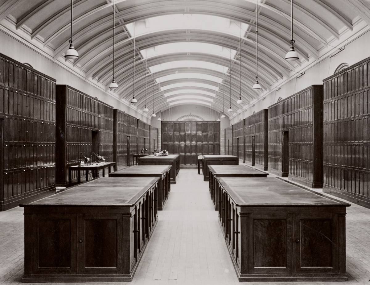 The Natural History Museum is reopening a hidden gallery that's been sealed off to the public for over 80 years – and visitors will be able step inside the historic space for free