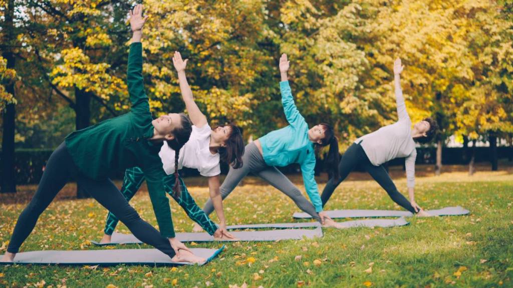 an outdoor yoga class in a park, 4 people hold a yoga pose on their mats on the grass 