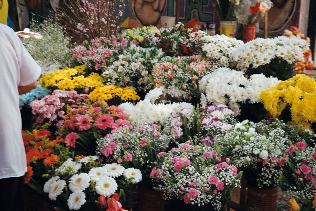 colourful display of flowers at a flower market stall