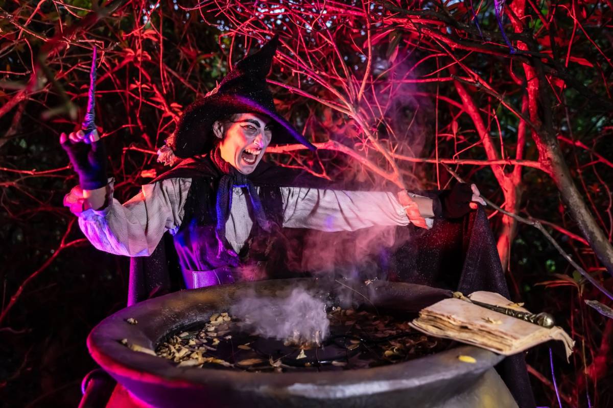 倫敦十月秋季活動指南:Kew Gardens 燈光節與法老王古物展覽等精彩行程