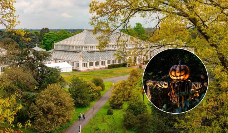 London’s UNESCO World Heritage garden, home to the world’s largest Victorian glasshouse, is turning into a Halloween light wonderland