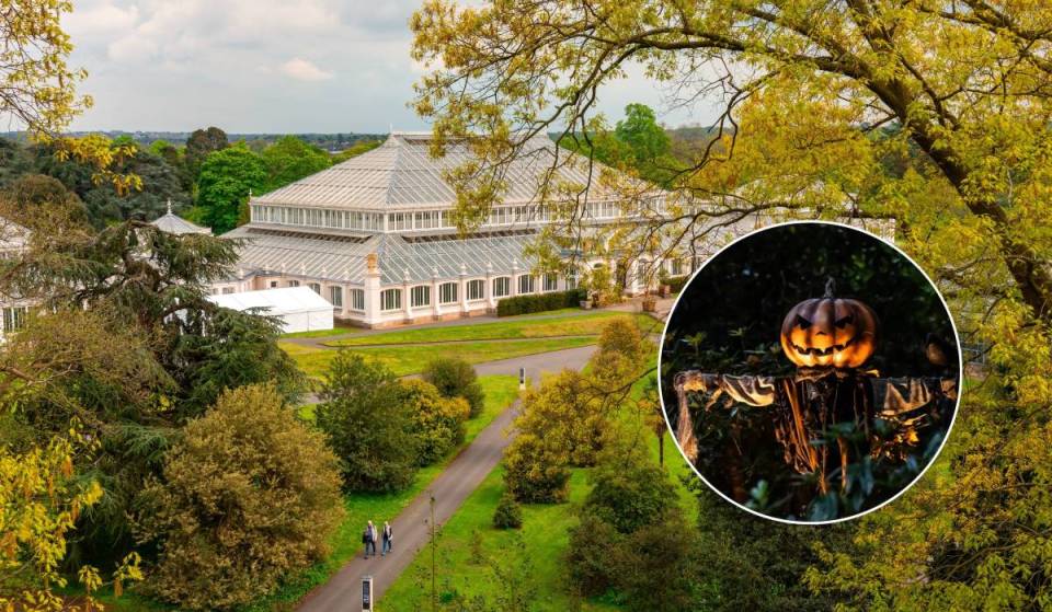 倫敦秋季精彩旅遊攻略:探索 Kew Gardens 萬聖節燈籠節與 South Kensington 展覽指南