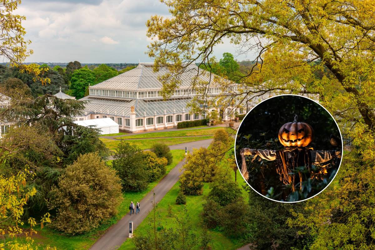 London's UNESCO World Heritage garden, home to the world's largest Victorian glasshouse, is turning into a Halloween light wonderland