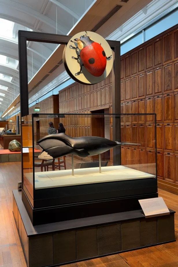 Secret London • Your Complete Guide To Things To Do In London