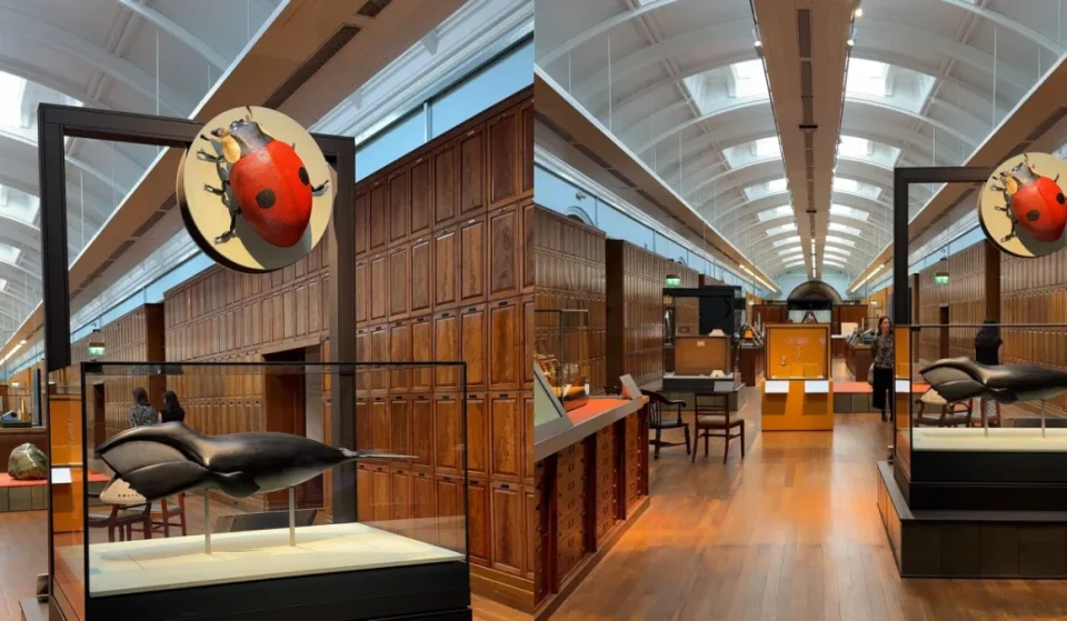 Natural History Museum opens secret WWII gallery in London