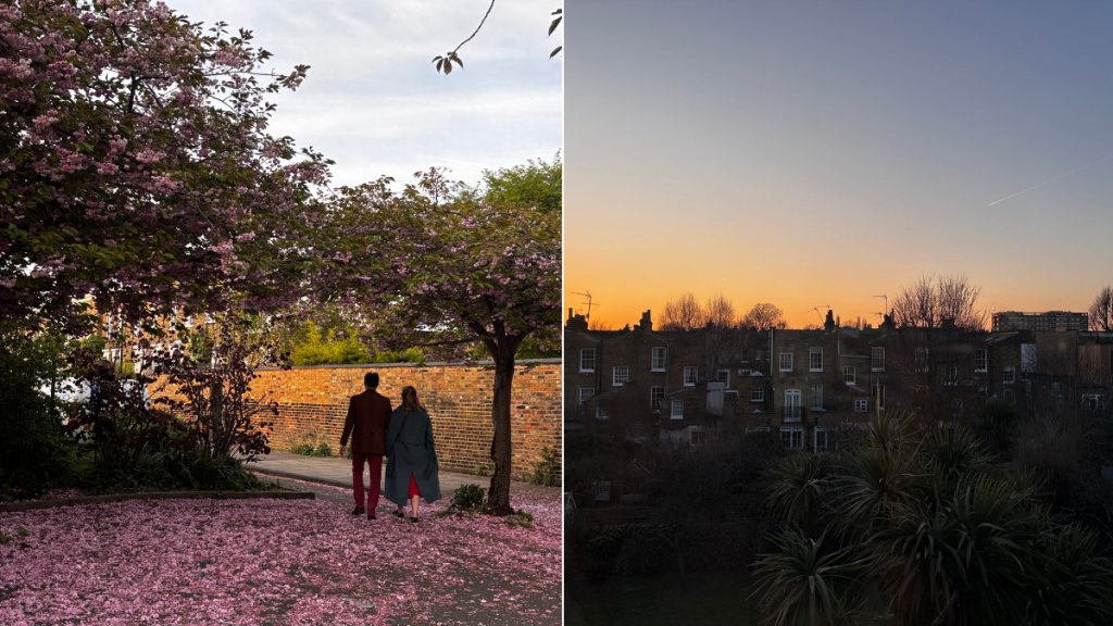 un’immagine divisa in due: da sinistra, persone che passano davanti a un albero con i fiori sparsi per terra; da destra, un tramonto sui tetti delle case a De Beauvoir
