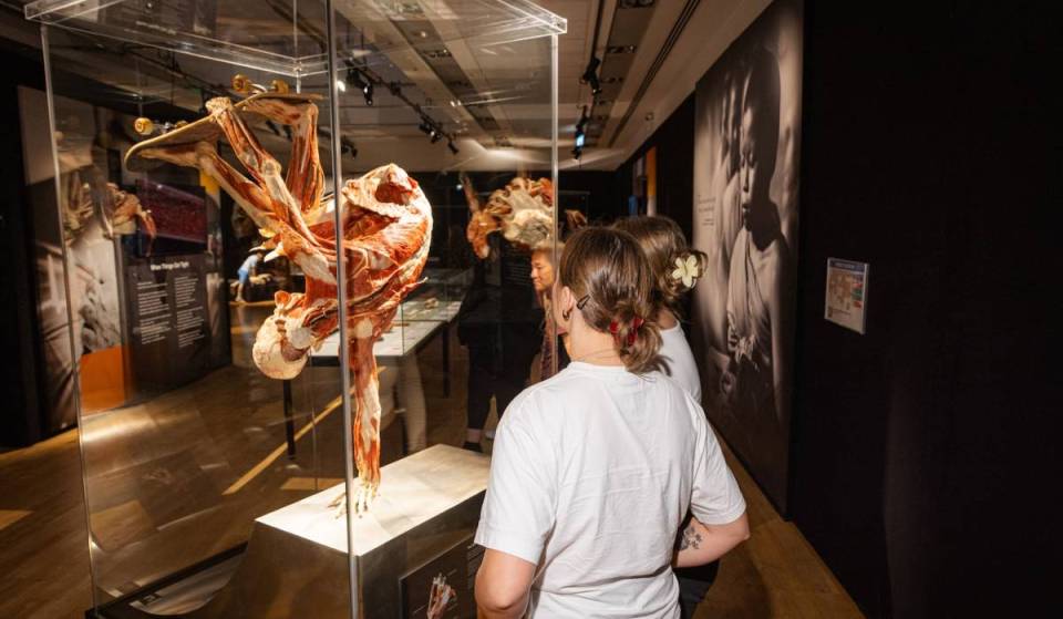 This extraordinary exhibition, which has had 58 million visitors worldwide, explores the effect of happiness on the human body – and it is now open in South Kensington