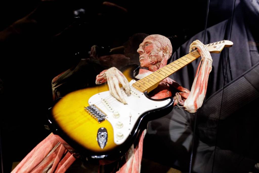 a full body plastinate of a guitarist playing the electric guitar at BODY WORLDS exhibition