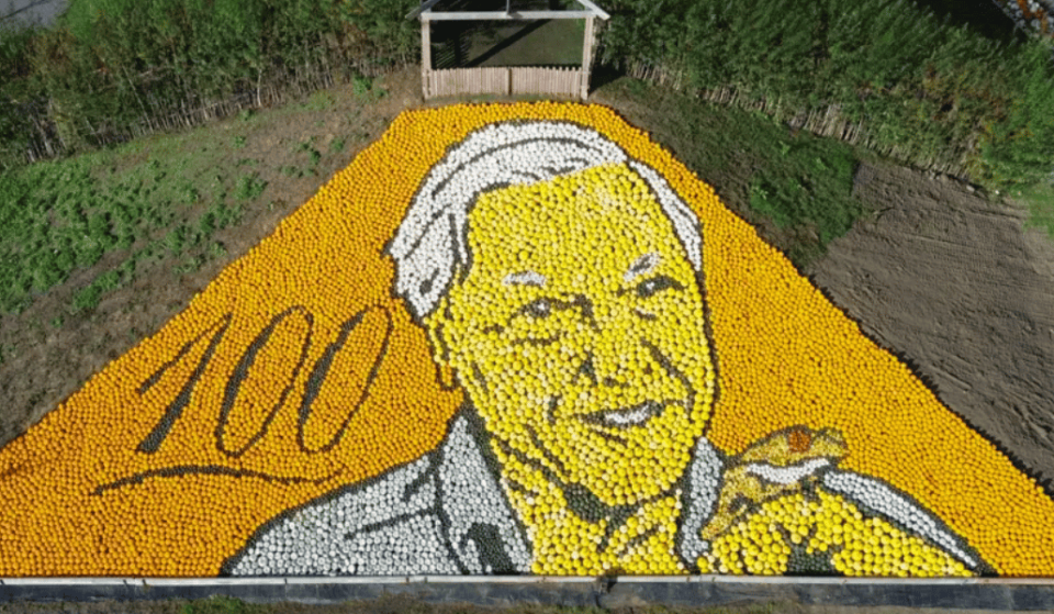 This farm outside London has created an enormous pumpkin mural of David Attenborough – and it’s broken a Guinness World Record