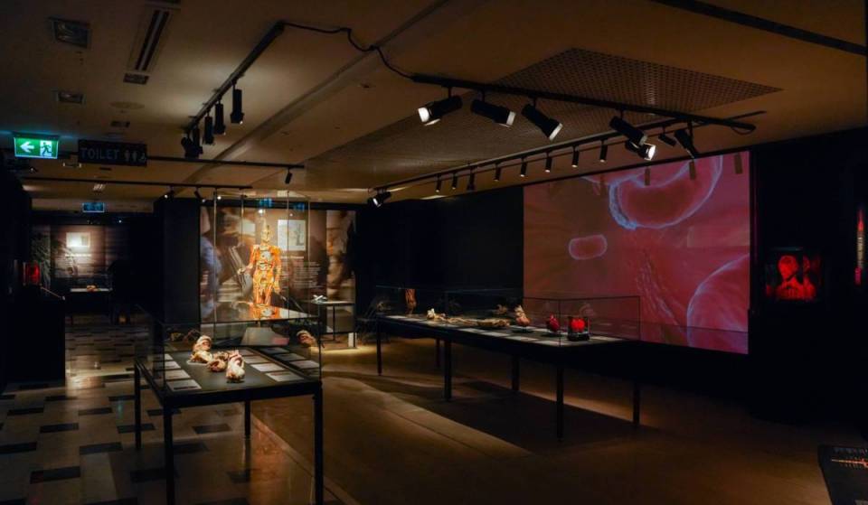Eine beeindruckende Ausstellung mit echten menschlichen Körpern für 20 £ hat in einem prächtigen Herrenhaus in South Kensington eröffnet