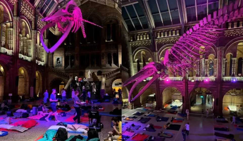 London Natural History Museum sleepover: inside Dino Snores