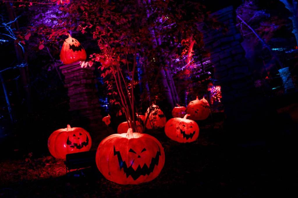 una serie di zucche lungo il percorso luminoso “Disney Tim Burton’s The Nightmare Before Christmas”